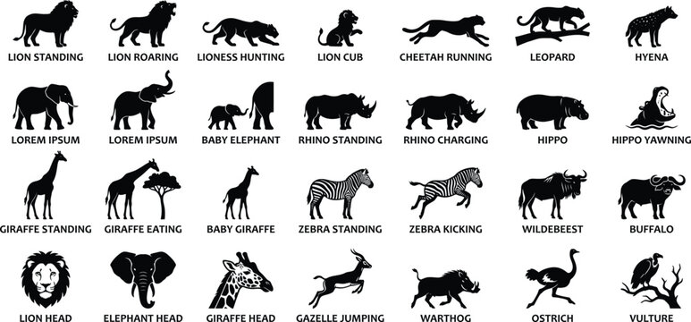 African safari animal silhouettes set featuring lions elephants giraffes and zebras as black vector icons on a white background for wildlife design
