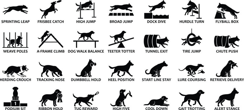Dog Agility Training and Canine Sport solid icon set. Containing icons for High Jump, Tunnel Exit, Weave Poles, Tire Jump, and A-Frame Climb. Solid vector illustrations