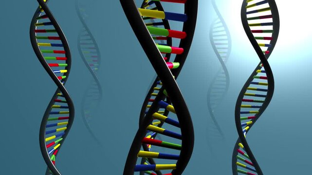 Rotating 3D DNA double helix animation with colorful base pairs for science and medicine