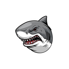 Naklejka premium Aggressive shark head with sharp teeth and angry expression