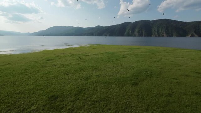 A lake in a national park in summer, birds flying over the water, filmed with a drone
