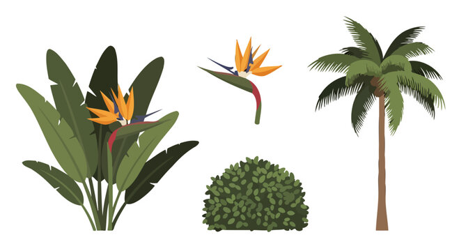 Vibrant tropical plant collection featuring Bird of Paradise flowers a tall palm tree and a lush green bush in a flat vector illustration style.
