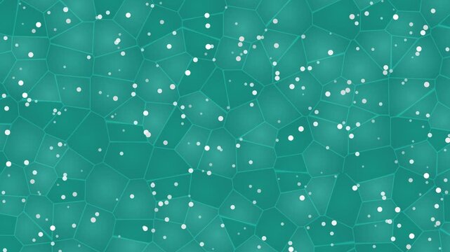 Teal background with white specks and star patterns