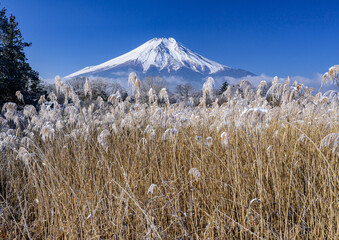 富士山と雪景色