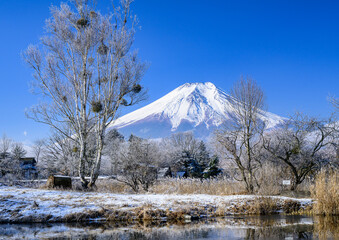 富士山と雪景色