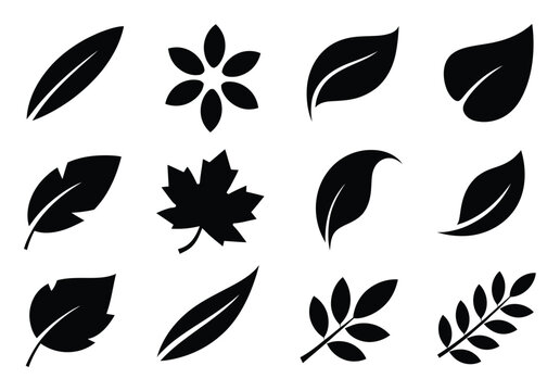 Collection of Black Leaf Silhouettes on White Background