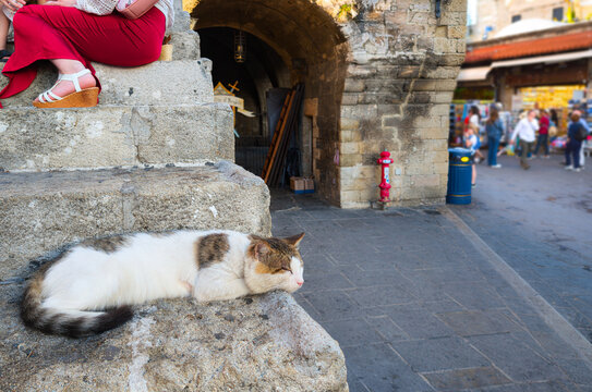A stray shorthair tabby cat sleeps near tourists on stone steps in Hippocrates Square, in the medieval old town of Rhodes, Greece.