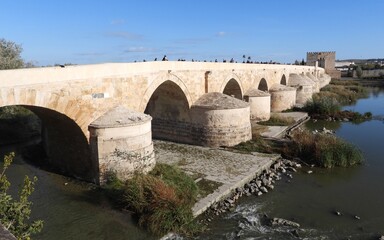 Fototapeta premium Roman Bridge of Cordoba, Andalusia, Spain