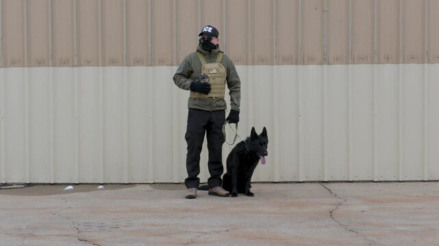 An Immigration and Customs Enforcement ACE agent and his black German Shepherd service dog stand near a wall and look around.