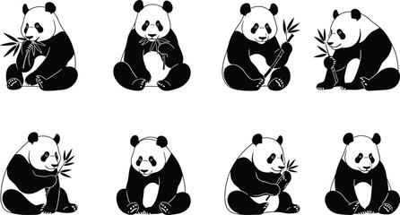 Panda silhouette collection, cute animal vector set, bamboo eating panda illustration, wildlife art design, black white panda poses concept © Mehenaj