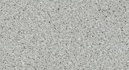 Obraz premium Gray Speckled Surface Texture Background image photo