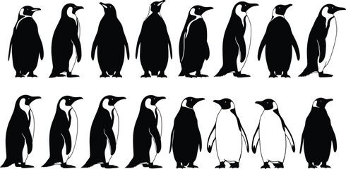 Penguin silhouette collection, bird vector set, Antarctic wildlife illustration, black white penguin design, nature art concept, penguin posture artwork © Mehenaj