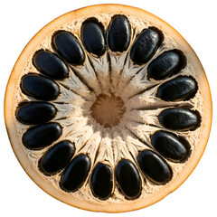 Exotic Fruit Cross-Section: Black Seeds & Textured Pulp