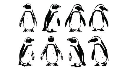 Obraz premium Eight charming vector graphic illustrations of penguins in black and white, showcasing various poses.
