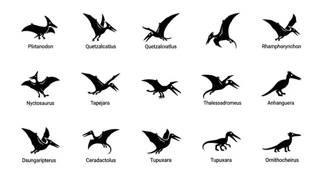 Collection of Various Pterosaur Silhouettes.