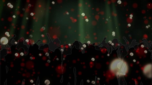 Opening beat hitting, silhouetted crowd reacting, raising fists and waving while particles drifting
