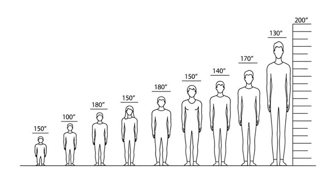Human Figures of Different Heights Illustrated.