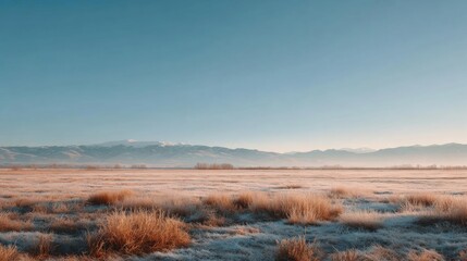 Obraz premium Landscape photograph of a vast open field with dry grass and shrubs in the foreground. the sky is a clear blue and the sun is setting, casting a warm glow over the mountains in the background.