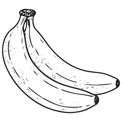 Vintage Banana Engraving Tropical Fruit Fresh Organic Produce Illustration