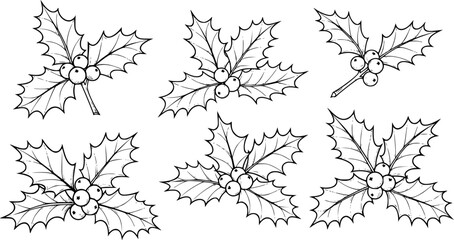 Hand Drawn Black Outline Holly Sprigs with Berries White Background christmas berry © Ashik