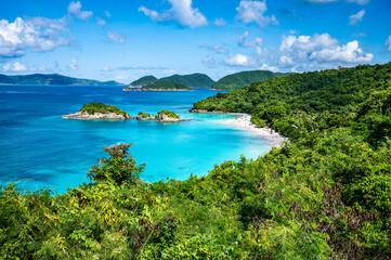 Obraz premium Trunk Bay Beach Virgin Islands National Park St John