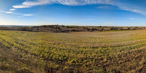 Fototapeta premium Wide view of farmland under a blue sky with clouds in the background captured during the afternoon in an open landscape
