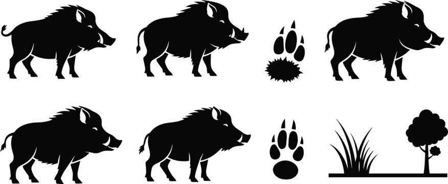 Wild Boar Silhouette Vector Set with Pumba Warthog Icons Animal Paw Prints and Nature Elements for Hunting and Forest Design