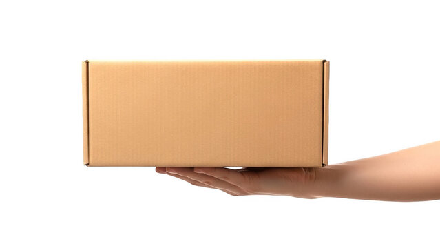 A person holding a brown cardboard box with both hands
