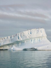 iceberg in antarctica