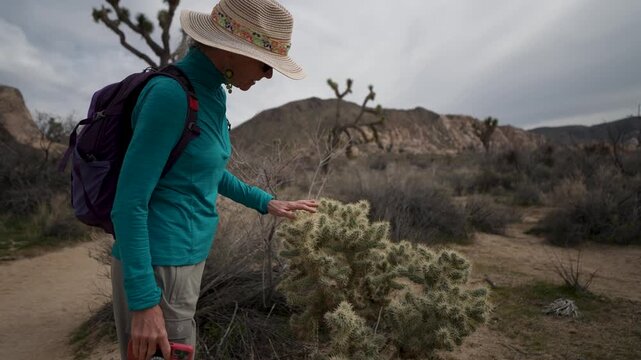 Mature woman hikes through Joshua Tree National Park, climbing rocks and observing cholla cactus in the desert environment.