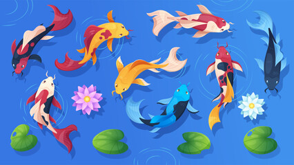 Obraz premium Koi fish swimming in tranquil pond with lotus flowers and lily pads. Japanese carp vector illustration set of tradition animals, zen water ripples and oriental garden design from top view above.