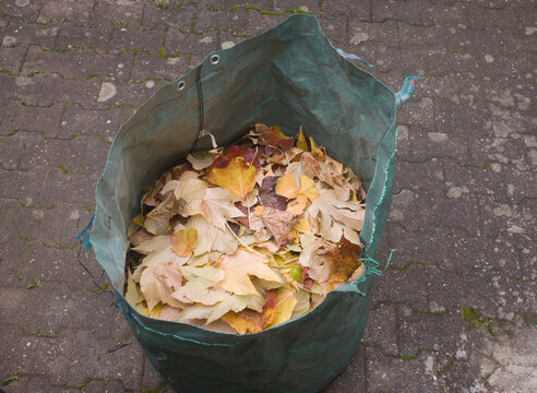 Ein gr&uuml;ner Sack voller herbstlicher Laubbl&auml;tter steht auf einem gepflasterten Boden.