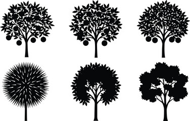 Obraz premium Black fruit tree silhouettes set, orange apple and citrus garden collection, orchard harvest vector icons, botanical leaf plants nature elements
