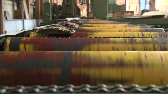 Industrial conveyor rollers transporting wooden log in sawmill