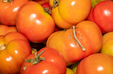 Fresh Ripe Red Tomatoes Closeup Background