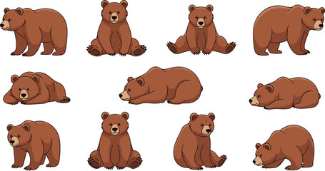 Brown bear vector illustration set featuring multiple poses including sitting and lying down isolated on white background for wildlife and nature animal design