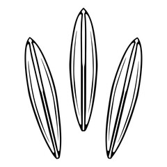 Cluster beans illustration vector design 