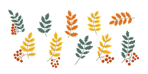 Autumn rowan branch set with leaves and berry isolated on black background Seasonal botanical collection in flat style concept of fall harvest nature and decoration