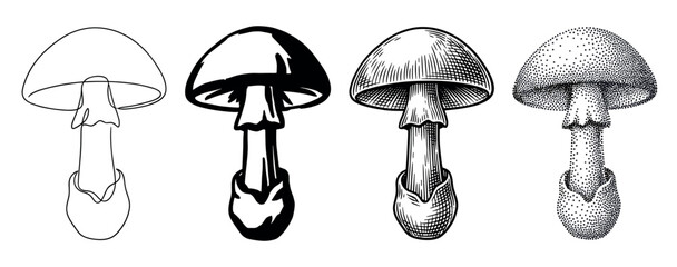 Set of four mushroom illustrations showing different artistic styles including continuous line art, a solid silhouette, vintage engraving, and detailed stippling for design elements