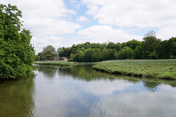 Fototapeta premium water and greenery landscape. peaceful scenery beside river estuary 