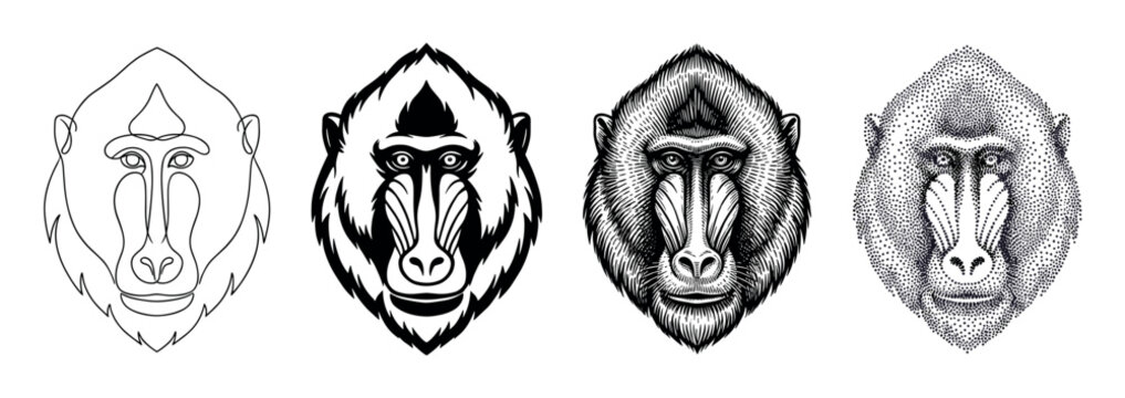 Four mandrill monkey head portraits showing different artistic styles including one line, stencil, engraving, and stippling for a graphic design concept