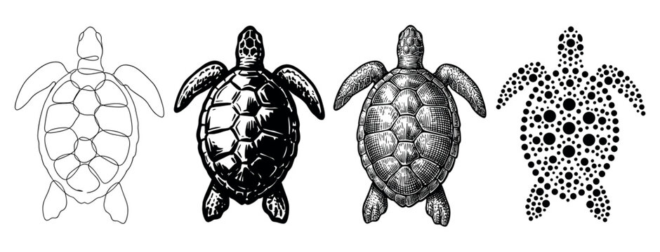 Four black sea turtle graphic illustrations in a set showing different artistic styles from minimalist line art and bold silhouette to detailed engraving and a dotted pattern