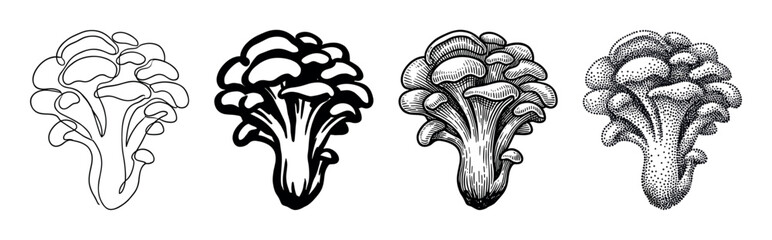 Fototapeta premium Set of four oyster mushroom illustrations in different artistic styles including continuous line drawing, bold silhouette, detailed engraving, and stippling for a botanical collection