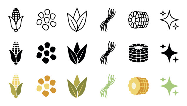 Set of corn vegetable icons in various styles including outline, glyph, and color, showing the cob, kernels, leaves, silk, and a cross-section for agricultural or food concepts