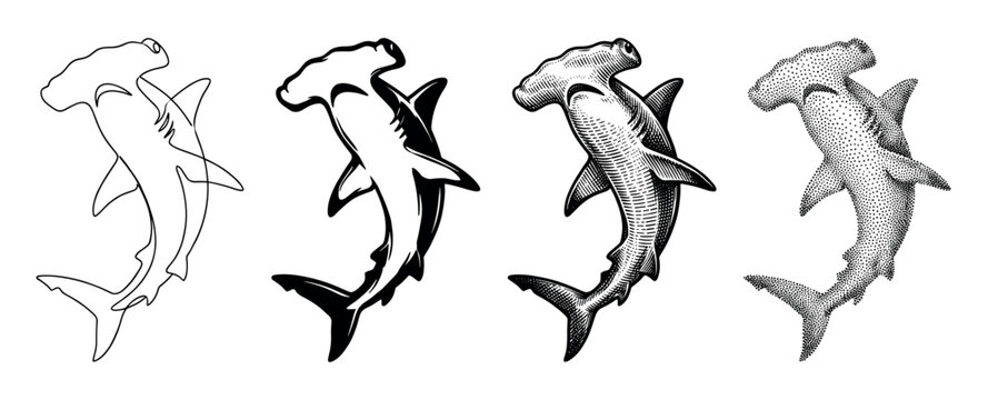 Set of four hammerhead shark illustrations showing different artistic styles including line art, silhouette, detailed engraving, and stippling for a tattoo or logo design