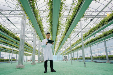 Scientist in lab coat inspecting plant growth in a vertical farm greenhouse
