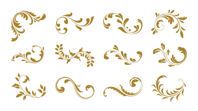 Assortment of ornamental floral scrollwork and flourish designs on a white background, featuring elegant vector elements, decorative botanical motifs, and classic artistic accents and creative project