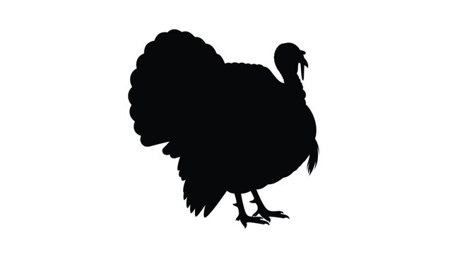 A striking black silhouette of a majestic wild turkey silhouette