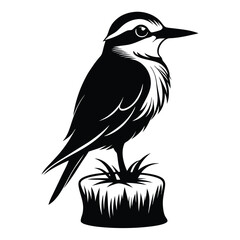 Fototapeta premium monochromatic bee eater silhouette line art vector illustration with a white background