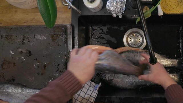Top view of man cleaning and preparing fresh fish in black kitchen sink. Home seafood preparation process before cooking, everyday kitchen routine and food preparation concept